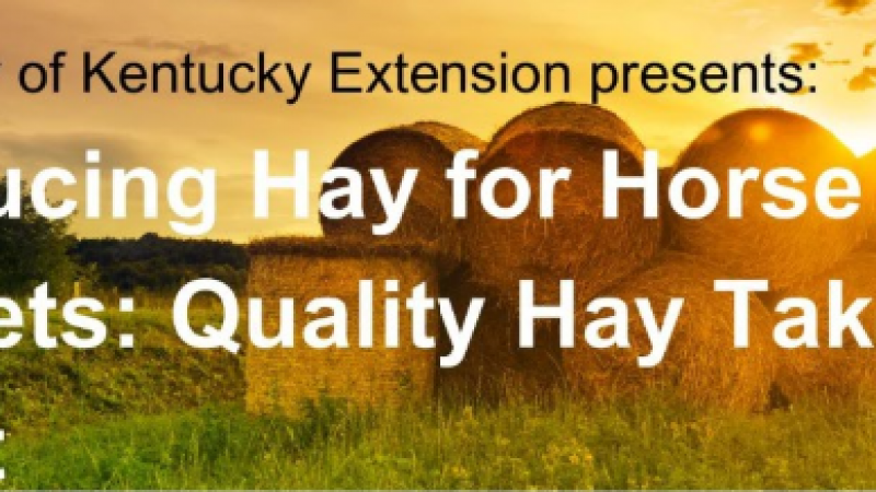 Hay Producer Field Day