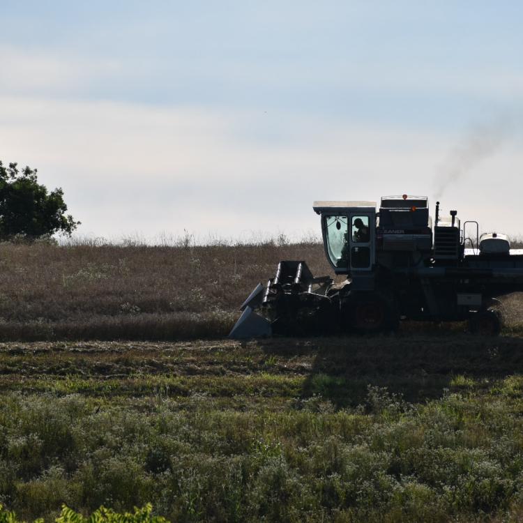  Harvest Time