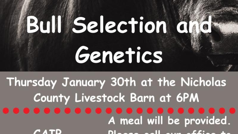 Bull Selection and Genetics