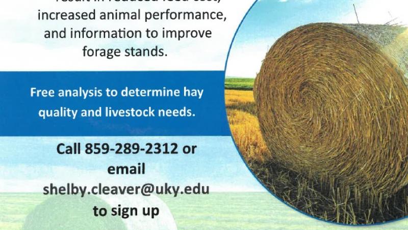 2025 Hay Improvement